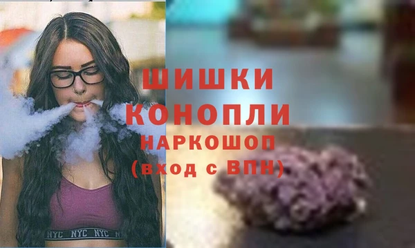 ешки Арсеньев