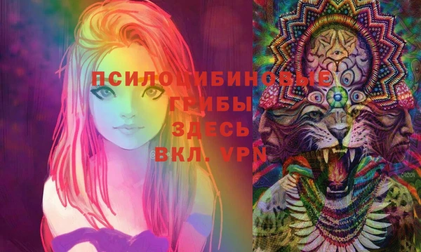 бошки Аркадак